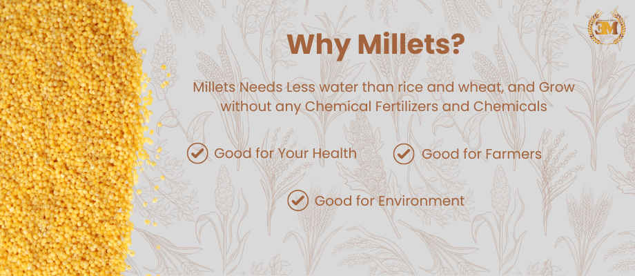 Why Millets (Computer and Tablets)